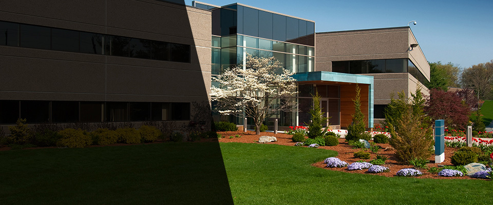 Jasper Landscapers