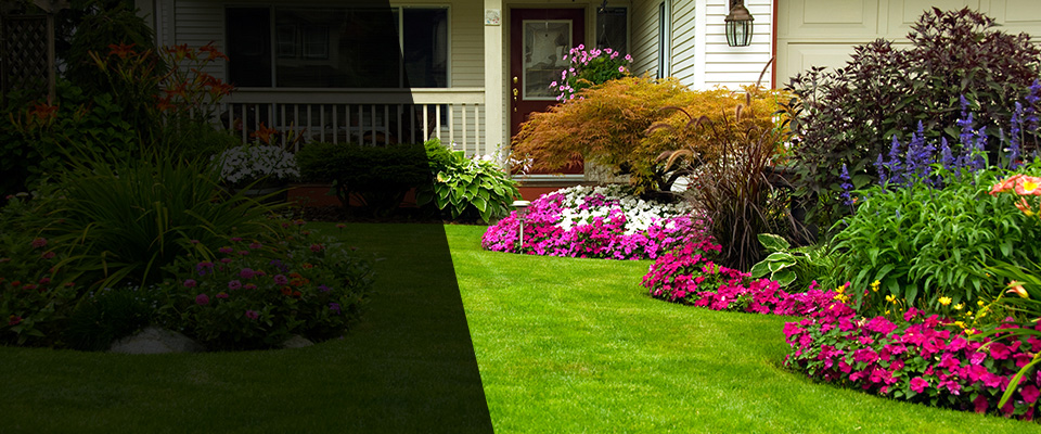 Jasper Landscapers