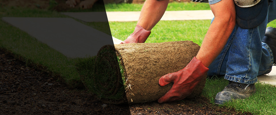 Jasper Landscapers